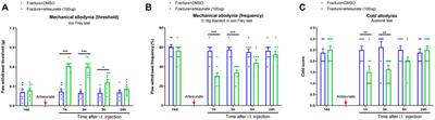 Artesunate Therapy Alleviates Fracture-Associated Chronic Pain After Orthopedic Surgery by Suppressing CCL21-Dependent TREM2/DAP12 Inflammatory Signaling in Mice